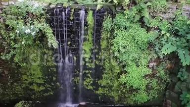 热带花园中的大瀑布，自然建筑，宁静的背景视频